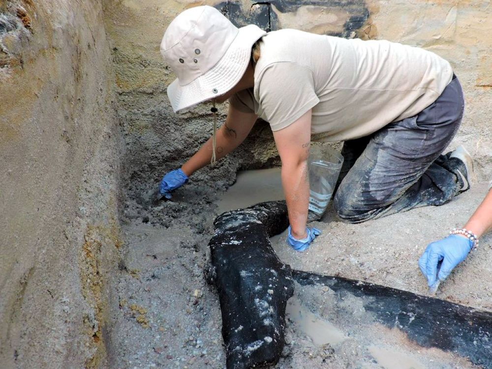 Oldest wine ever found contains a grisly additive — human remains