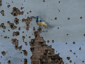 FILE - A dove painted by artist TvBoy adorns the wall of a building damaged by Russian shelling attacks in Irpin, Ukraine, Friday, July 7, 2023. Life in the capital of a war-torn country seems normal on the surface. In the mornings, people rush to their work holding cups of coffee. Streets are filled with cars, and in the evenings restaurants are packed. But the details tell another story.
