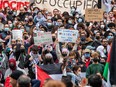 Pro-Palestine rally Harvard