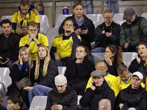 A group of Sweden soccer fans.