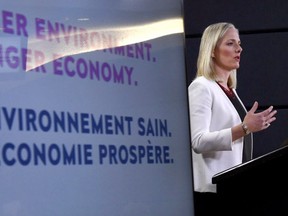 Catherine McKenna speaks at a news conference.
