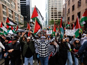 A crowd of pro-Palestinian supporters.