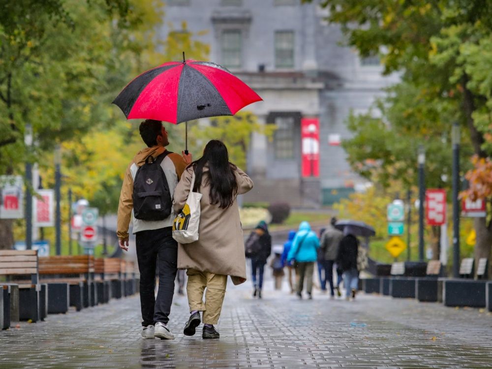 Quebec's War On English-language Universities Is Pure Civic Vandalism ...