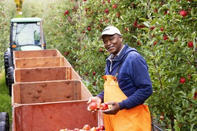 farm worker