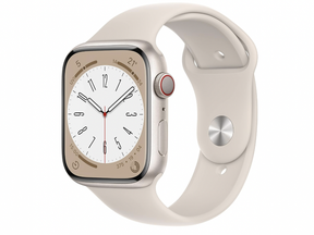 Apple Watch Series 8 (Stainless Steel)