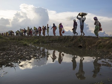 Rohingya refugees fleeing from Myanmar walk along a muddy rice field after crossing the border in Bangladesh.