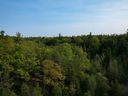 Trees touch a skyline in the Duffins Rouge Agricultural Preserve, part of Ontario's Greenbelt.