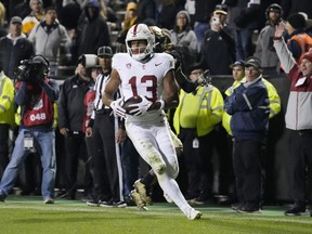 Stanford teammate Bryce Farrell wasn't the least bit surprised by Canadian Elic Ayomanor's breakout performance Friday night versus Colorado. Ayomanor (13) celebrates after making a touchdown catch in overtime of an NCAA college football game, in Boulder, Colo. Friday, Oct. 13, 2023.