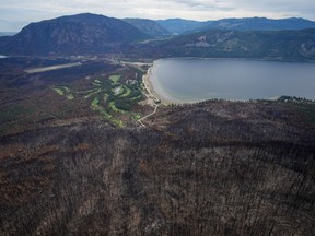 Trees burned by the Bush Creek East Wildfire are seen above Little Shuswap Lake in Squilax, B.C., Monday, Sept. 11, 2023. Experts say the province is yet to escape the repercussions of an exceptional year of hot, dry weather.