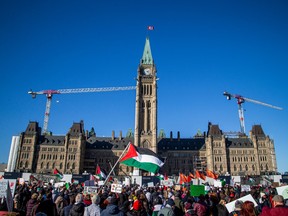 A large group of people came together on Parliament Hill to rally in support of Palestinians, while calling for a ceasefire in Gaza, Saturday, Nov. 4, 2023.