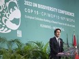 COP15 summitt