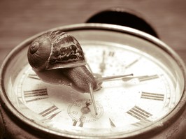 snail on top of watch