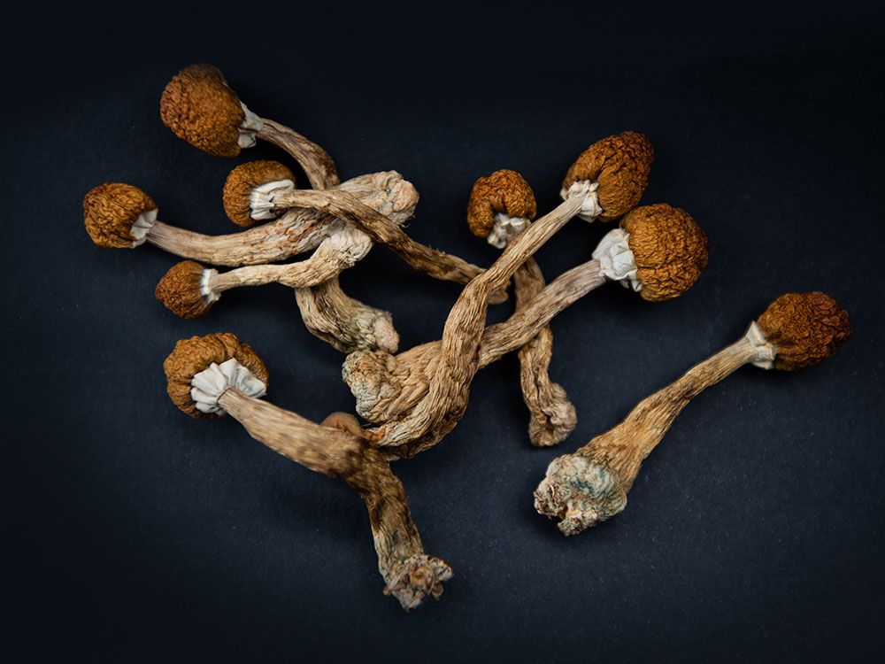 What do magic mushrooms do to your brain? | National Post