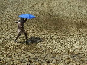 FILE - A villager holding umbrella to protect himself from sun, walks over parched land on the outskirts of Bhubaneswar, India on May 2, 2009. Tense negotiations at the final meeting on a climate-related loss and damages fund -- an international fund to help poor countries hit hard by a warming planet -- ended Saturday, Nov. 4, 2023, in Abu Dhabi, with participants agreeing that the World Bank would temporarily host the fund for the next four years.