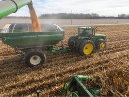 Corn, Ontario