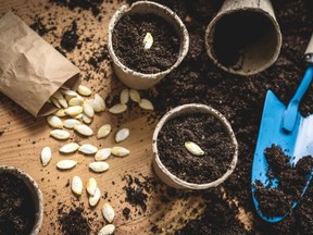 Start your plants inside with these grow kits.