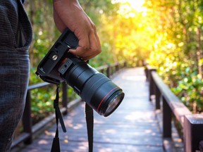 Learn more about which DSLR camera could be right for you.