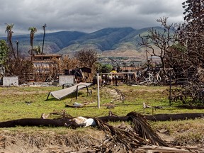 Wildfire damage in Lahaina, Hawaii.