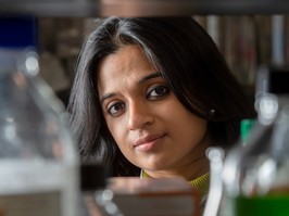 Dr. Manali Mukherjee.