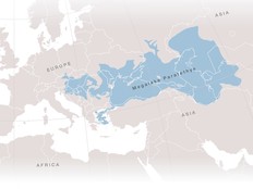 Map image of Paratethys