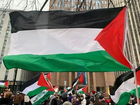 Protestors gathered in downtown Ottawa for the 12th straight week of pro-Palestine rallies.