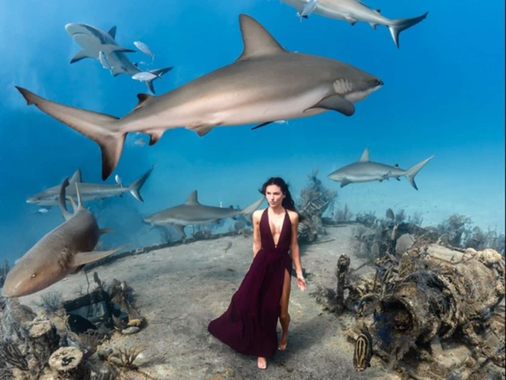 Montreal woman breaks record for deepest underwater model photoshoot