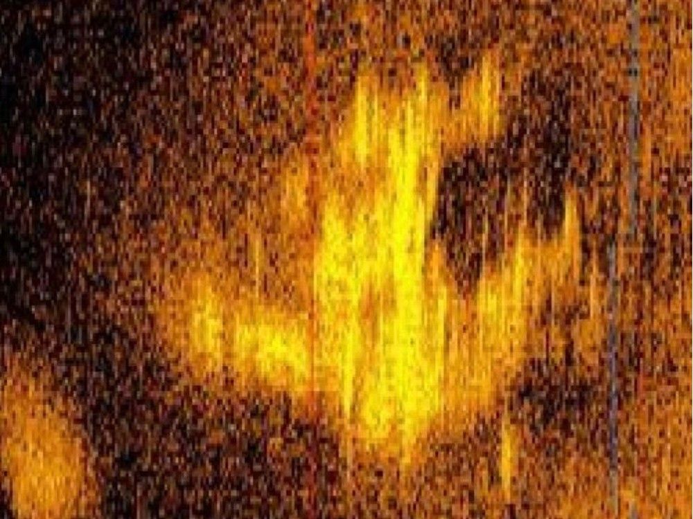 Explorers claim they have found Amelia Earhart's plane | National Post