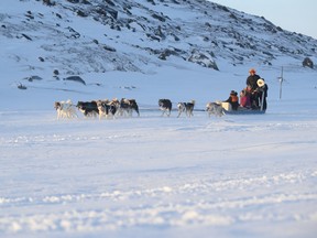 Dogsled ride with Justin Trudeau and Nunavut premier
