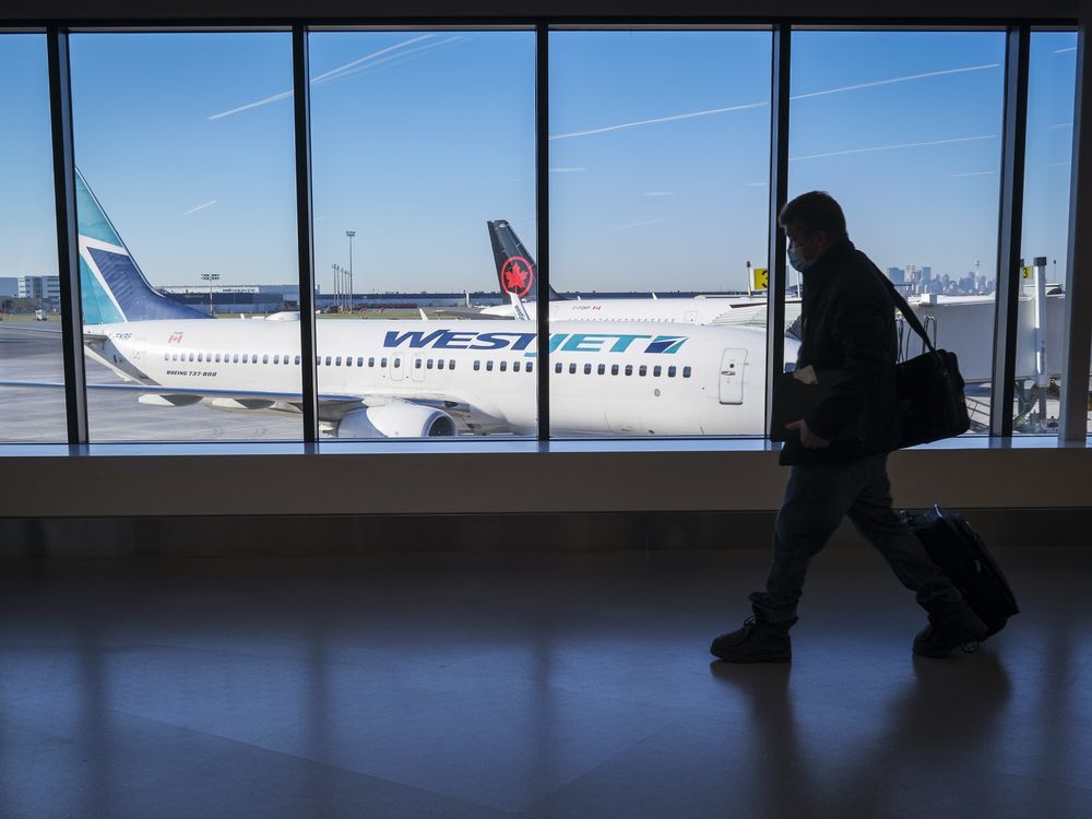 Flight delayed Baggage lost How Canadians can apply for compensation National Post