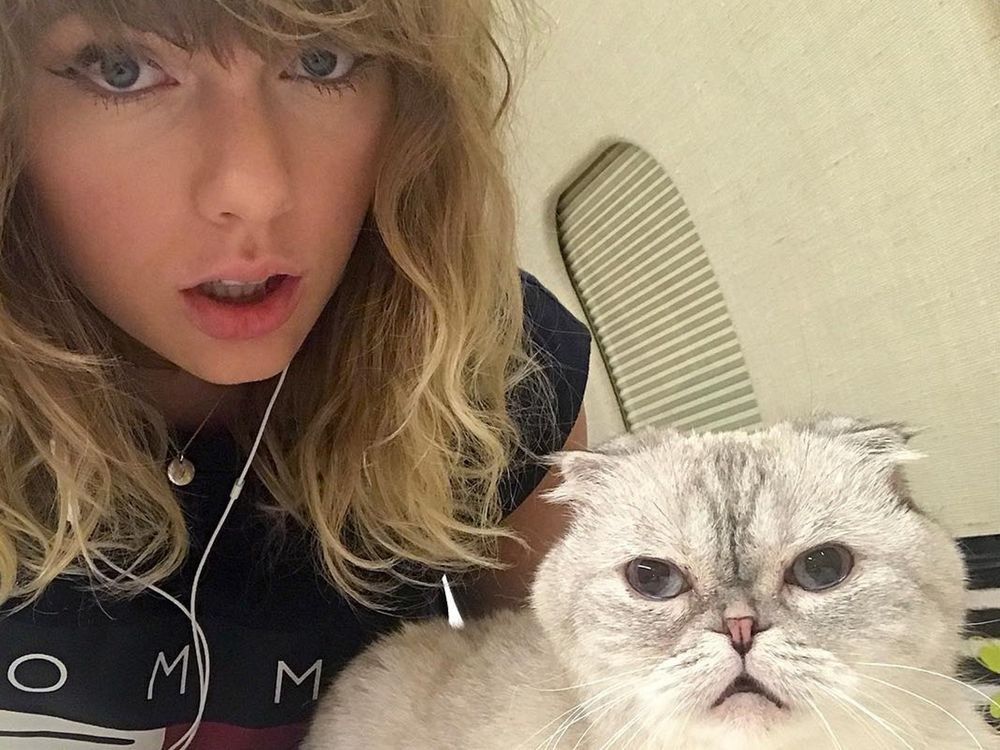Taylor Swift’s cat is worth US97M and richer than her boyfriend