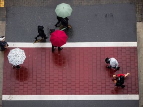 People walk a dog wearing a raincoat as others carry umbrellas while rain falls, in Vancouver, on Sunday, December 27, 2020. Days of heavy rain and snowmelt from record-high temperatures have pushed rivers over their banks, prompting flooding and warnings in southwestern B.C.