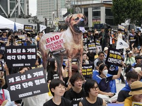 FILE - Animal rights activists stage a rally opposing South Korea's traditional culture of eating dog meat in Seoul, South Korea on July 8, 2023. South Korea's parliament on Tuesday, Jan. 9, 2024 has endorsed landmark legislation outlawing dog meat consumption, a centuries-old practice.