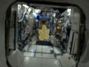 Maple cookie in space