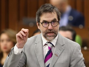 Environment and Climate Change Minister Steven Guilbeault rises during Question Period, Thursday, Feb. 8, 2024.