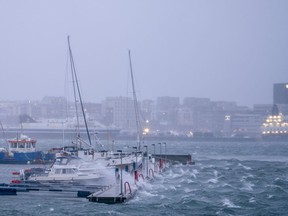 Boats in a Norway harbour