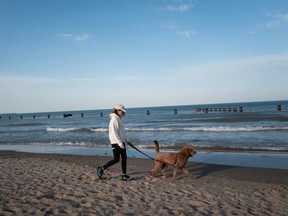 Woman walking dog on beach