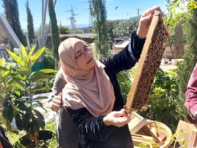 Fatma Hamod holding a frame from a beehive.