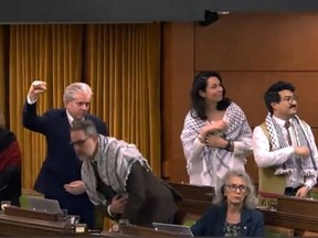 An image from the House of Commons live feed taken as members rose to vote on a Monday motion to recognize Palestinian statehood. While political props are technically banned in the House of Commons, several NDPers wore keffiyeh, a scarf popularized as a symbol of armed Palestinian resistance.