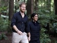 Harry and Meghan walk in a Redwood forest