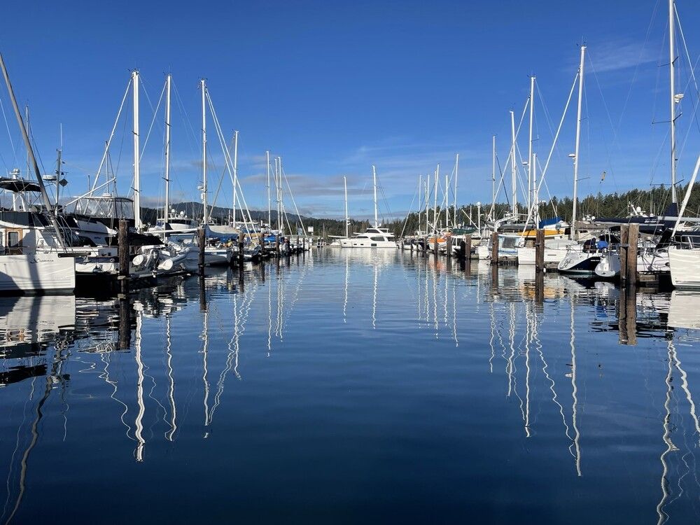A marina in B.C. that is home to many people who live on their boats full time.