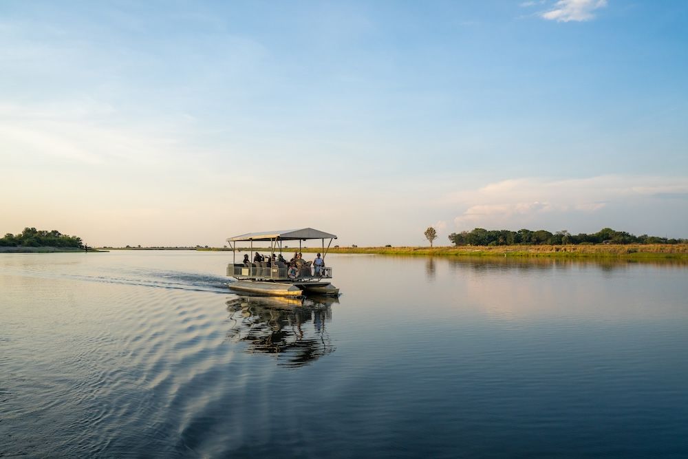 Capturing Botswana through the lenses of my Swarovski binoculars and smartphone attachment