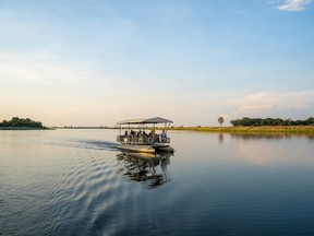 Travelling by electric boat in Botswana's Chobe National Park.