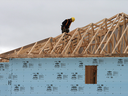 A construction worker works on a house in a new development in Oakville, Ont. 