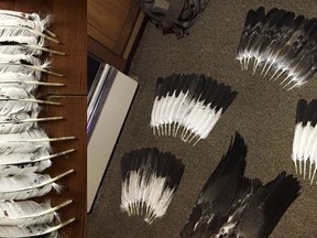 eagle feathers