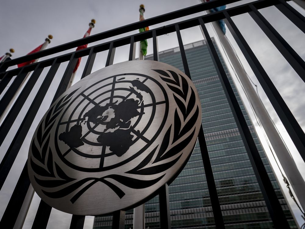 Mohamed Fahmy: Carney Liberals stand against human rights at the United Nations