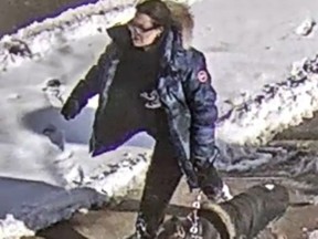 A woman walking a dog is shown in a TPS handout photo. A Toronto woman facing multiple charges in a dog attack that seriously injured a child was previously deemed an "irresponsible" owner of dangerous dogs and subsequently ordered evicted from her apartment, according to court records and her former landlord.