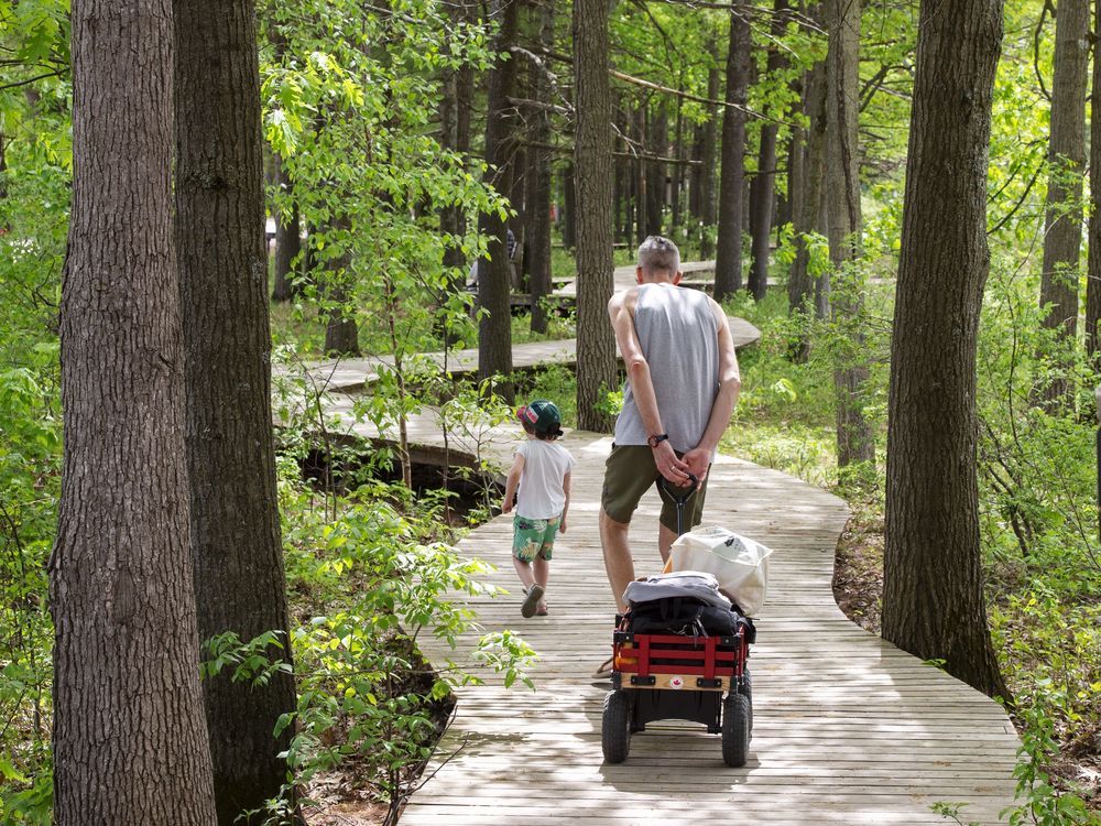 NextImg:Small forest fire put out in Oka provincial park as Quebec fire season starts early