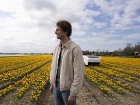 Man standing in tulip field