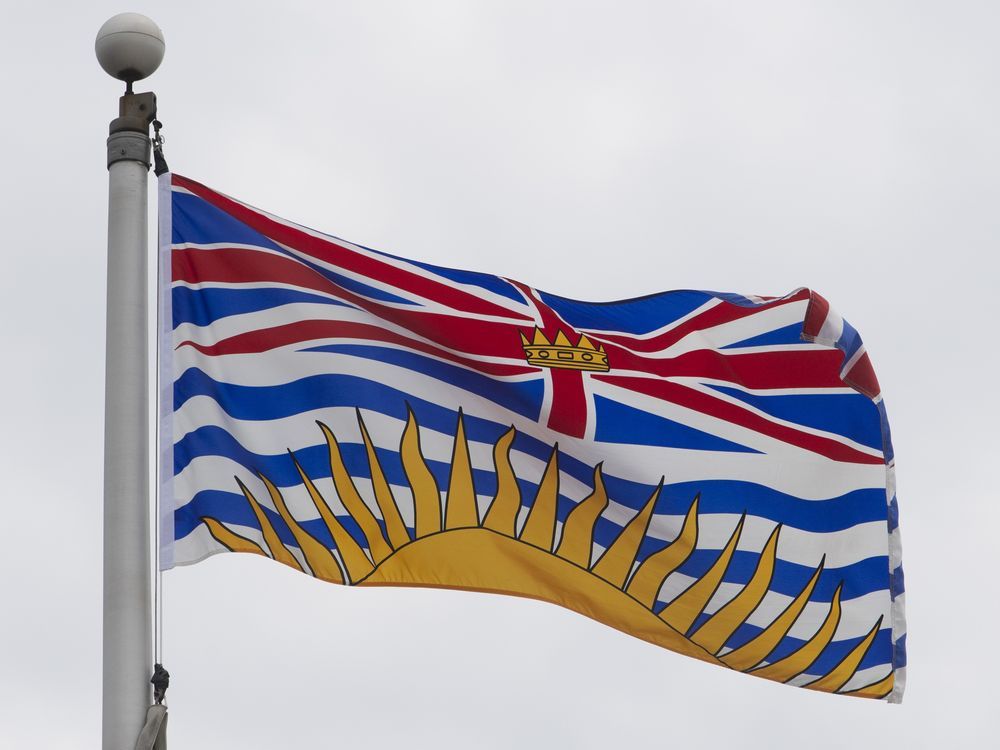 NextImg:DNA tests show dogs killed B.C. woman, not bear as first thought: coroner's report
