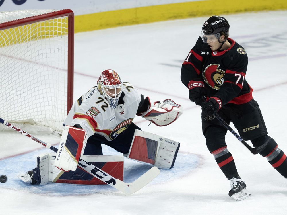 NextImg:Sergei Bobrovsky has 30-save shutout as Panthers blank Senators 6-0